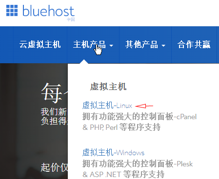 bluehost选择主机类型