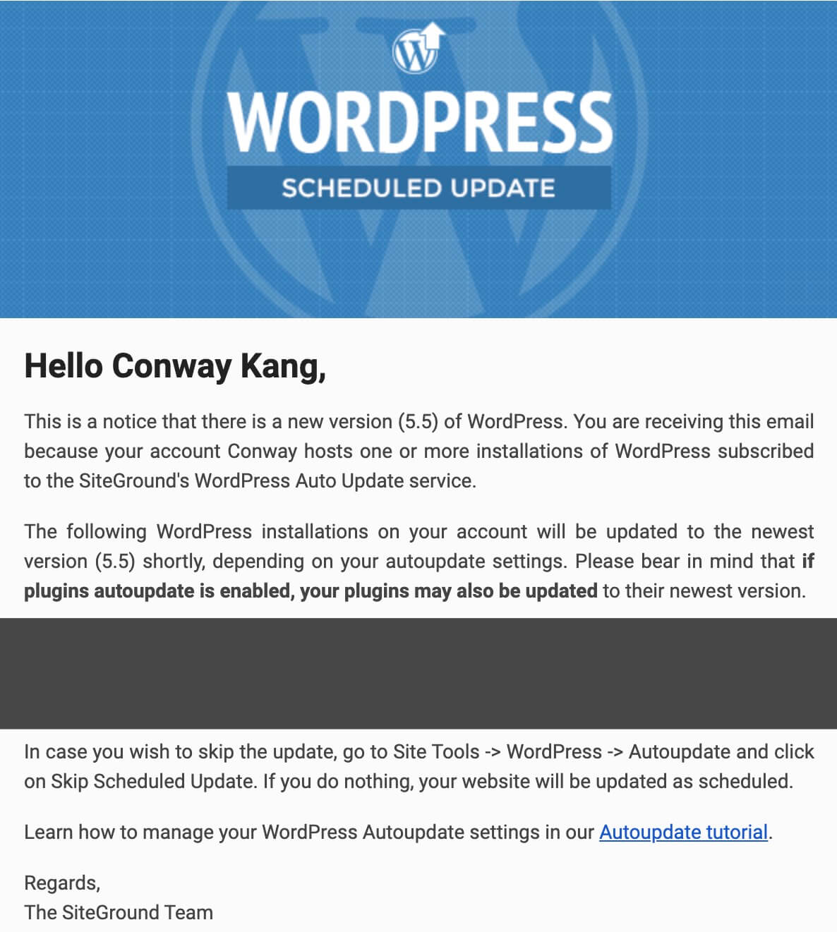 WordPress 5.5 重要更新 – 自带XML站点地图，图片延迟加载，自动更新主题插件