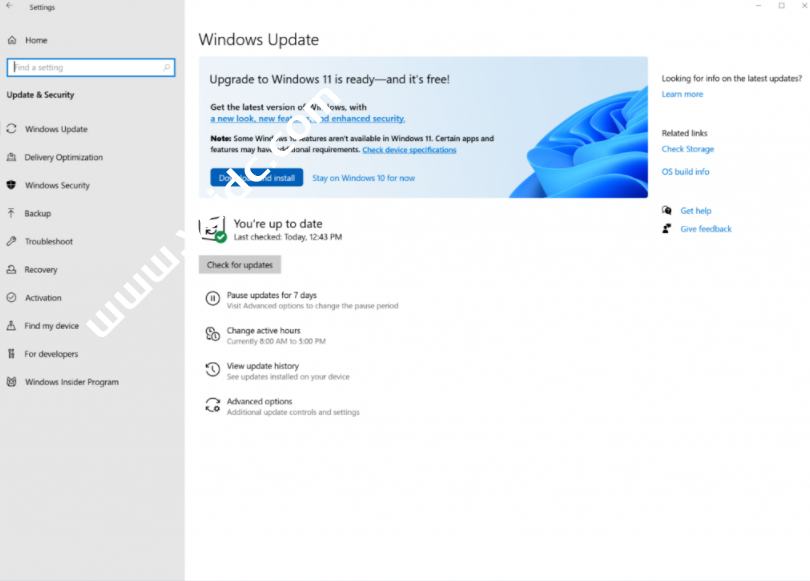 Win11 正式版发布，微软宣布 Windows 11 全面上市：PC 新时代从现在开始