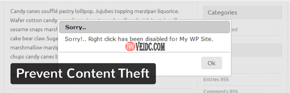 WordPress插件-Prevent Content Theft