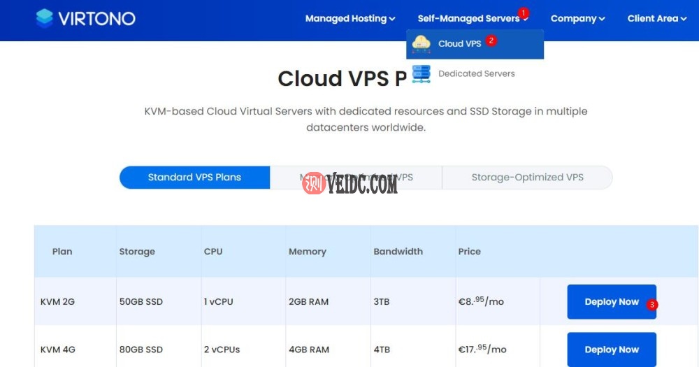 Virtono VPS云服务器购买教程