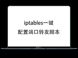 分享一个好用的iptables 一键配置端口转发脚本，支持 TCP 和 UDP